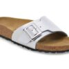 Catalina Cushion Buckle Birko-Flor Catalina Cushion Buckle Birko-Flor