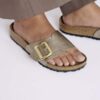 Catalina Cushion Buckle Birko-Flor Catalina Cushion Buckle Birko-Flor