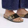 Catalina Luxe Buckle Birko-Flor Graceful Licorice Catalina Luxe Buckle Birko-Flor Graceful Licorice