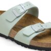 Sydney Birko-Flor Elegantní Surf Green Sydney Birko-Flor Elegantní Surf Green